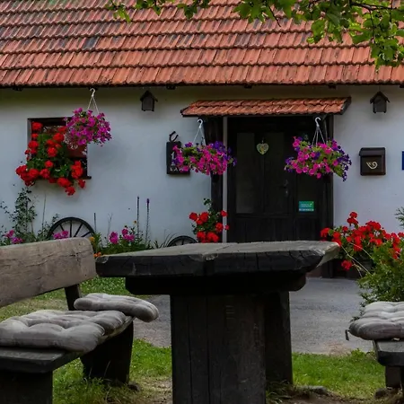 Semesterbostad Gorski Lazi Trsce