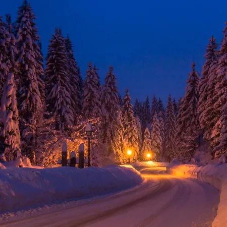 Holiday Gorski Lazi Trsce